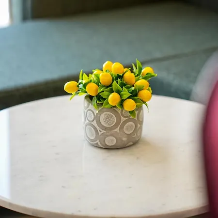 Apartmán Soho *