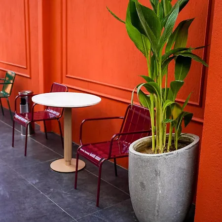 Soho * セルチュク